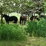 Bobrowe Zacisze 2